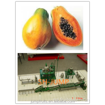 Sayar da zafi a Papaya sarrafa na&#39;ura